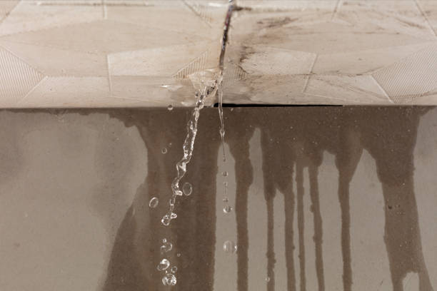 Professional Flood Damage Cleanup technician working in Ephraim, WI